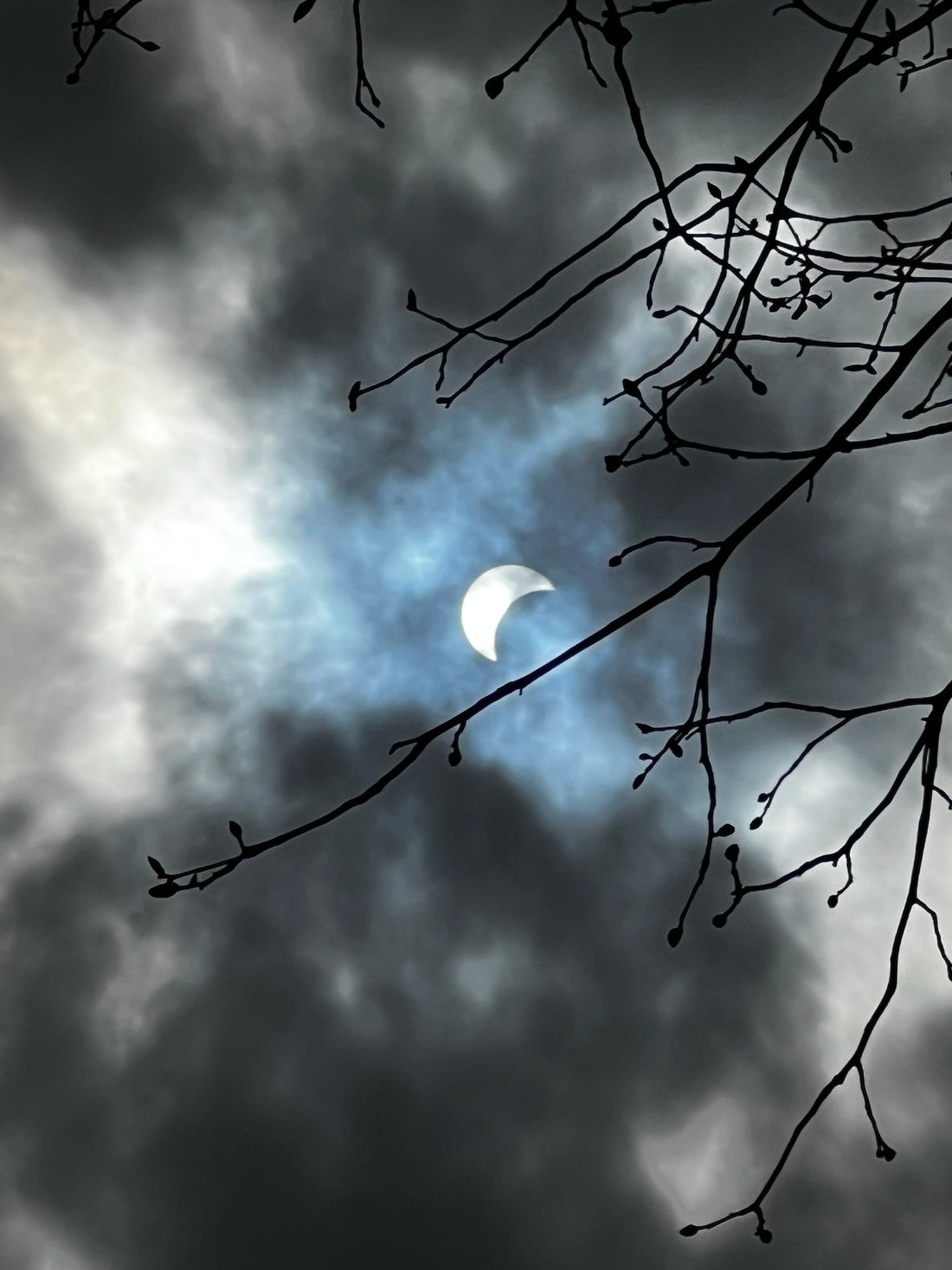 Happy Eclipse Day!