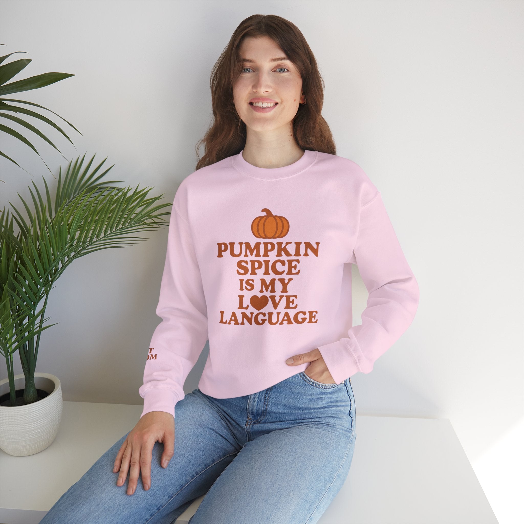 Pumpkin Spice Love Language Sweatshirt